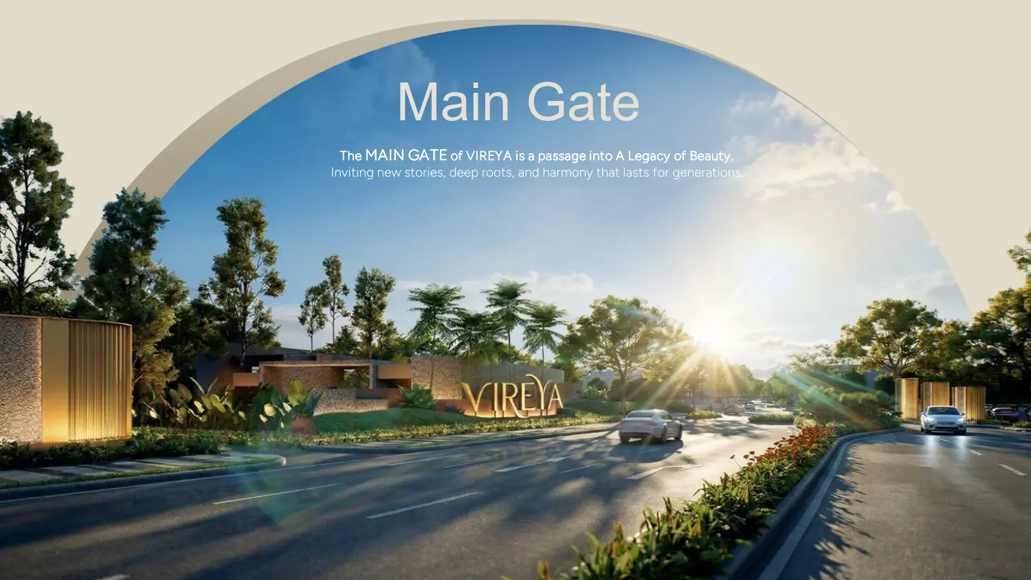 vireya vyorelle e brochure fin 03