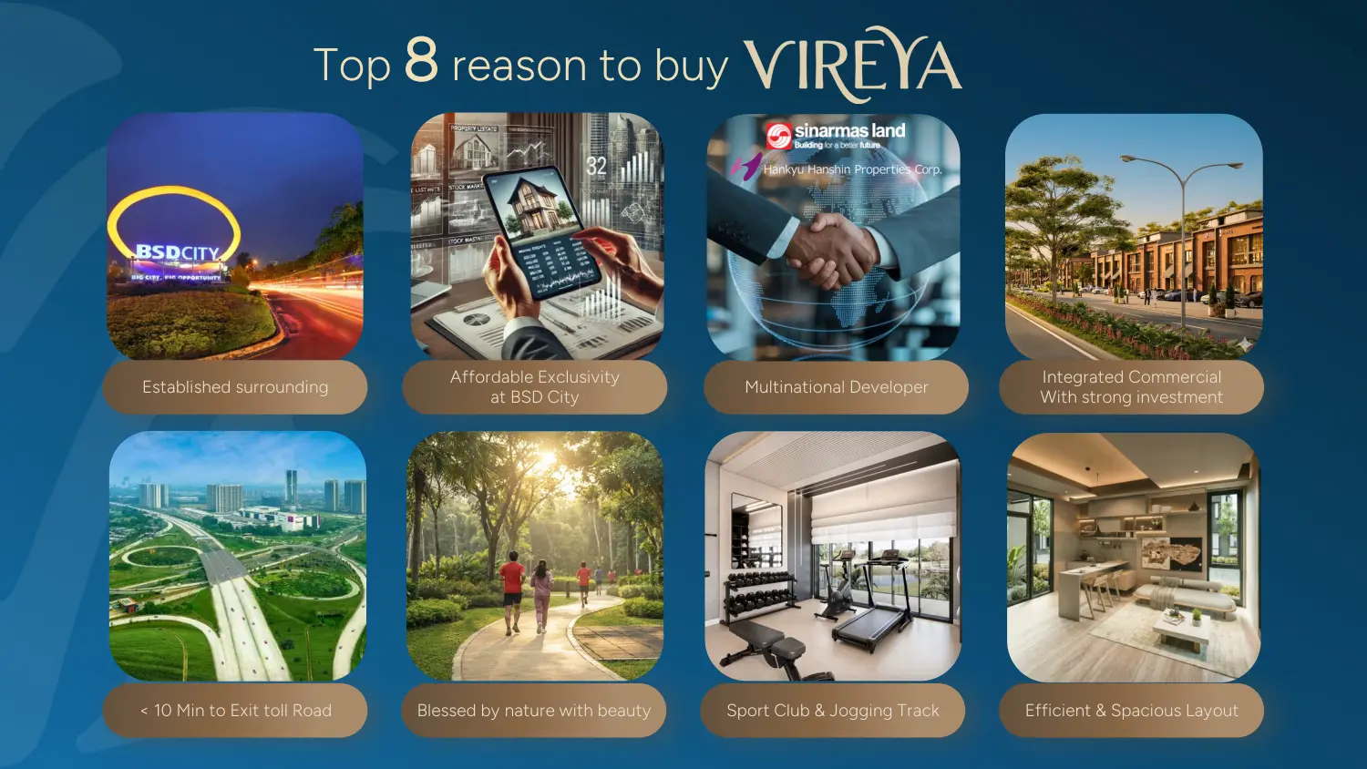 vireya vyorelle e brochure fin 14